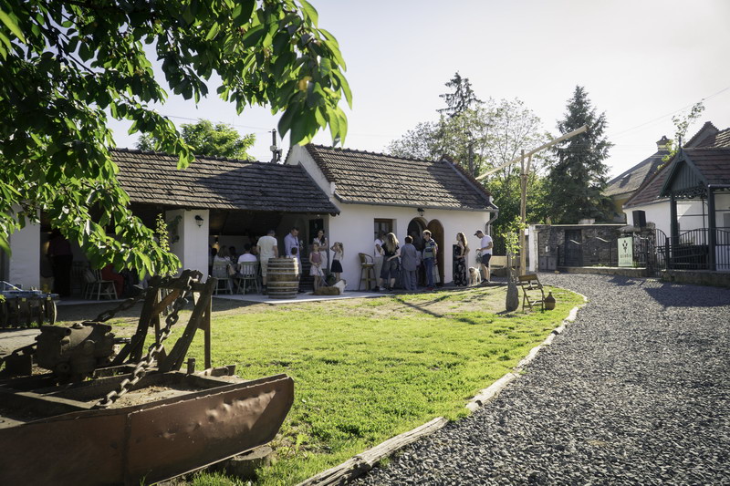 Szimbio Borudvar 2